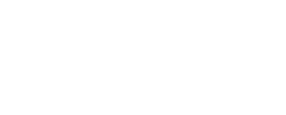 When The Light Dies logo